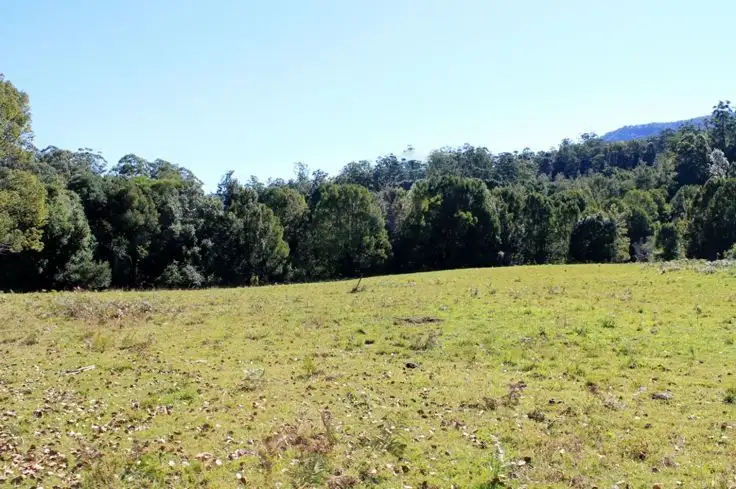Seventh view of Homely rural property listing, Lot 1 Davis Road, Green Pigeon, Kyogle NSW 2474