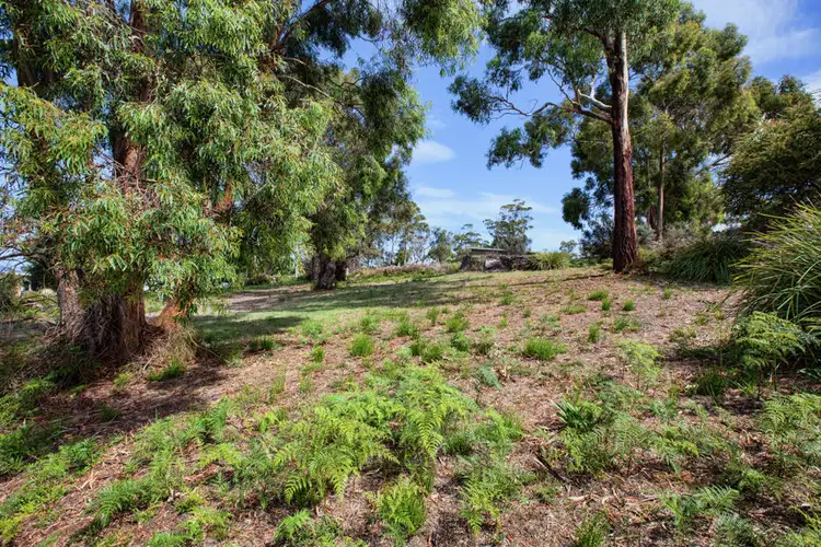 Fifth view of Homely land listing, 11 Boobyalla Street, Primrose Sands TAS 7173