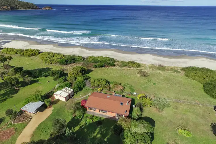Fifth view of Homely house listing, 435 Pirates Bay Drive, Eaglehawk Neck TAS 7179