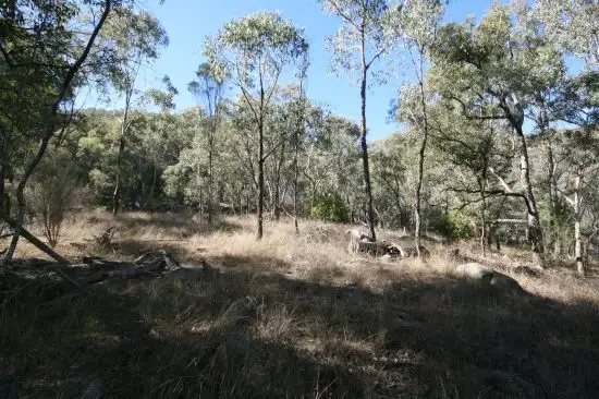 Sixth view of Homely rural property listing, 471 "Treetop" New England Gully Road Moonbi, Tamworth NSW 2340