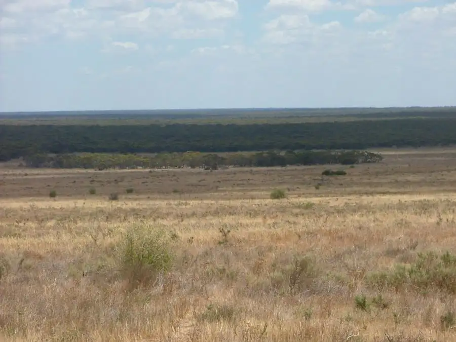 Main view of Homely rural property listing, Lot 242 & 247 Quarry, Black Hill SA 5353