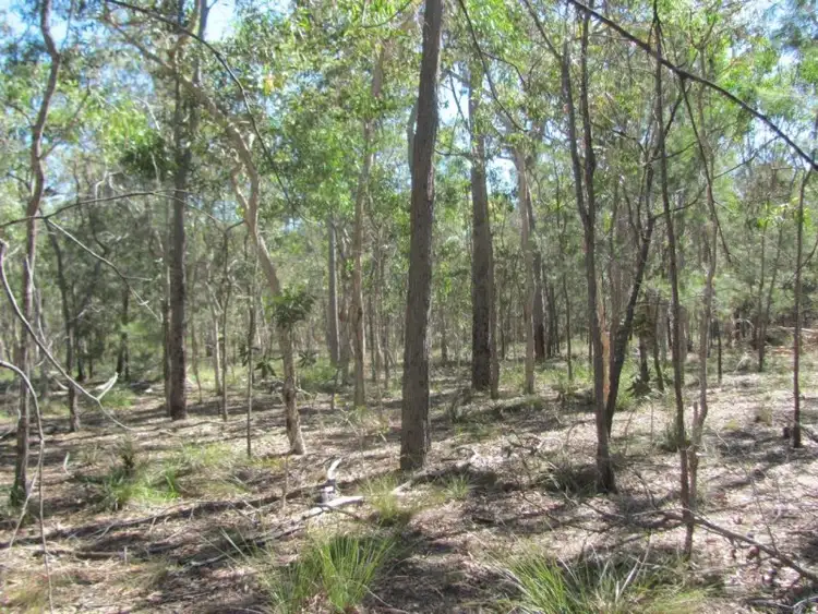 Sixth view of Homely rural property listing, 210 Capricornia Drive, Deepwater QLD 4674