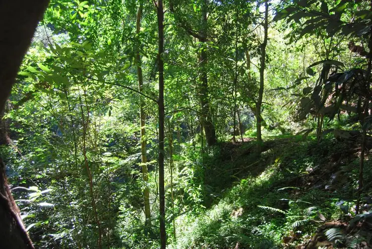 Fourth view of Homely land listing, 4/129 Gardners Lane, Maleny QLD 4552