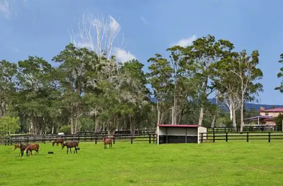 Seventh view of Homely rural property listing, 114 Hue Hue Road, Alison NSW 2259