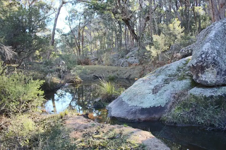 Fourth view of Homely rural property listing, 1331a Mount Mackenzie Road, Tenterfield NSW 2372