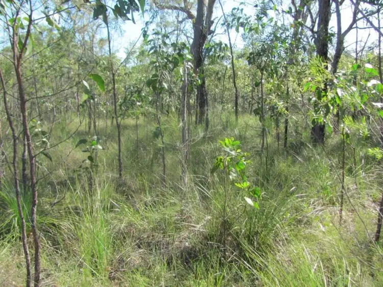Fifth view of Homely rural property listing, Lot 53 Matchbox Road, Deepwater QLD 4674