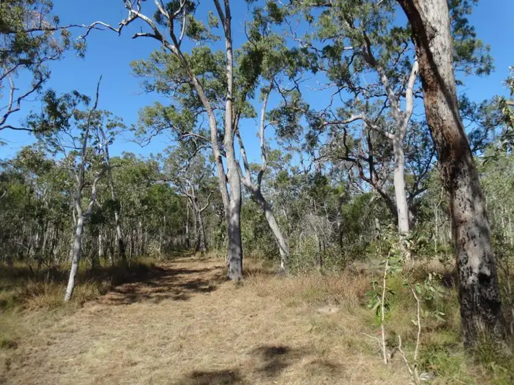 Fourth view of Homely rural property listing, Lot 17 Deepwater Road, Deepwater QLD 4674