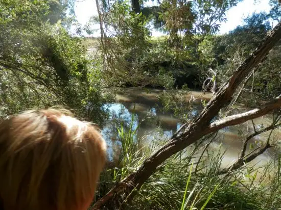 Seventh view of Homely land listing, 5180 Bruxner Highway, Tabulam NSW 2469