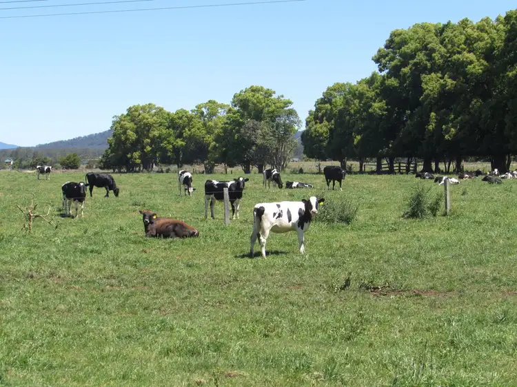 1840 Oxley Highway, Wauchope NSW 2446