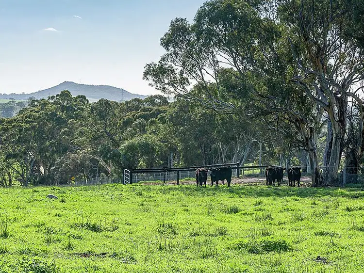 Sixth view of Homely land listing, Lot 410 Daniel Road, Wistow SA 5251