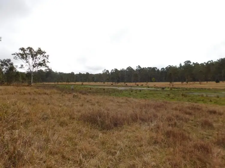 Seventh view of Homely rural property listing, 10 Carwong Road, Rappville NSW 2469