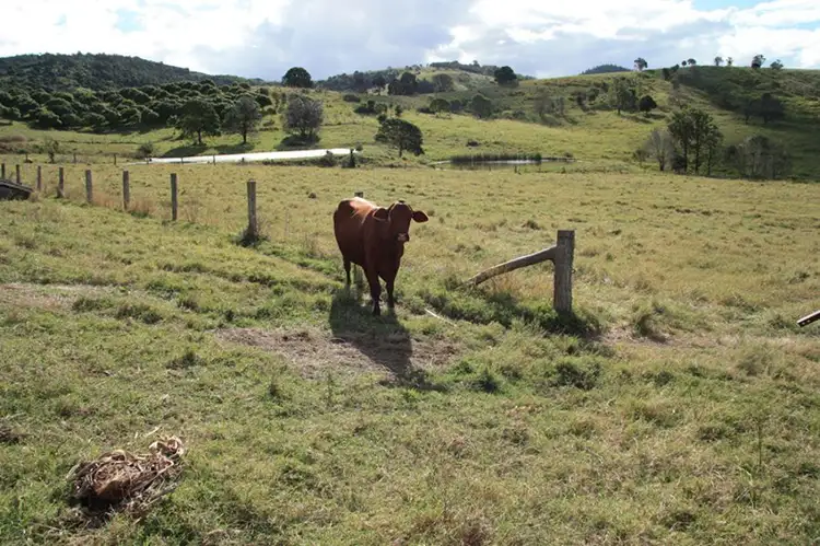 Sixth view of Homely rural property listing, Address available on request