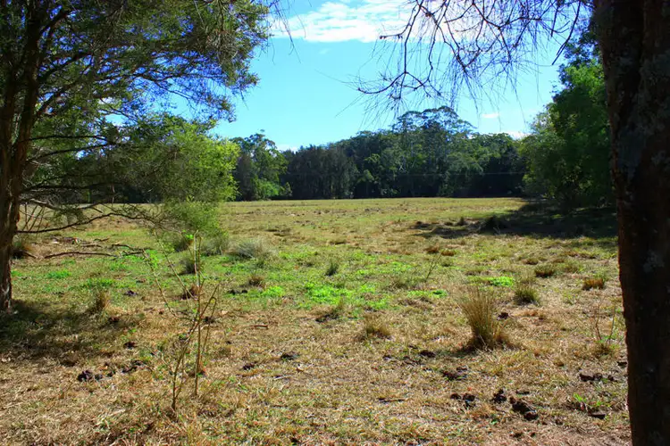 Fifth view of Homely land listing, 313 South Arm Road, Urunga NSW 2455