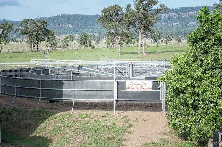 Seventh view of Homely rural property listing, 118 Nandowra Road, Scone NSW 2337