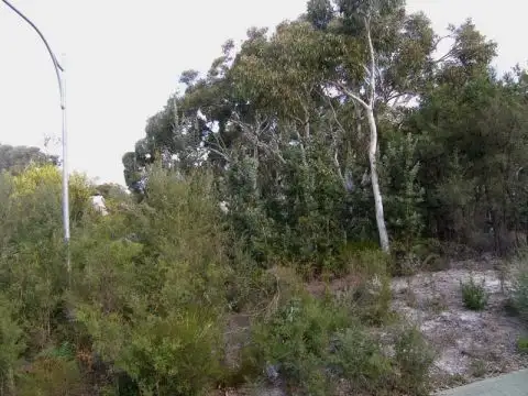 Fourth view of Homely land listing, 3 Caffery Circuit, Callala Beach NSW 2540