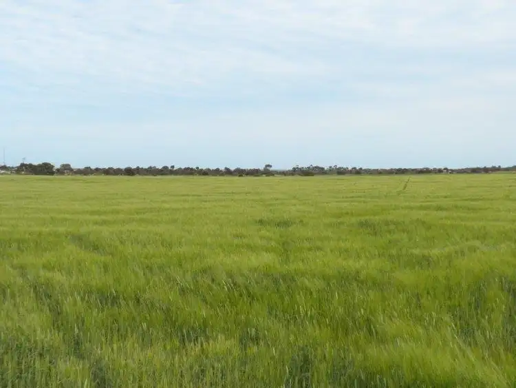 Fourth view of Homely land listing, Section 387 Government Road off Martinga Road, Kadina SA 5554
