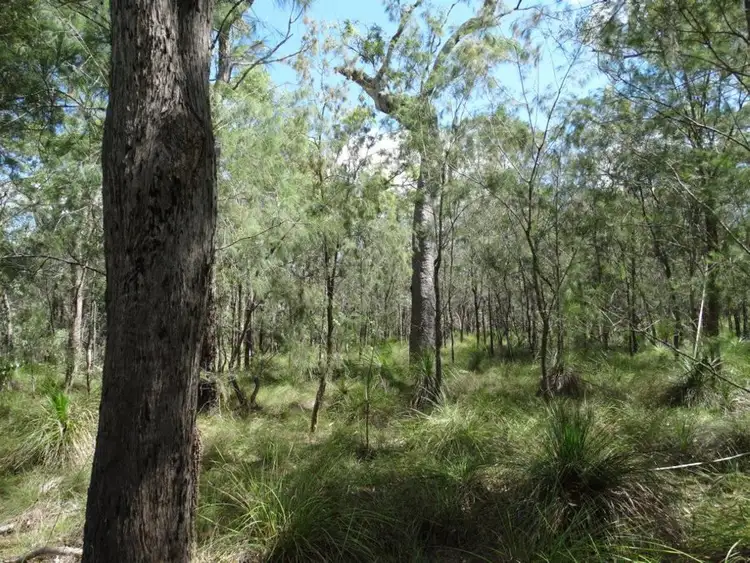Seventh view of Homely rural property listing, Lot 177 Oceanna Drive, Deepwater QLD 4674