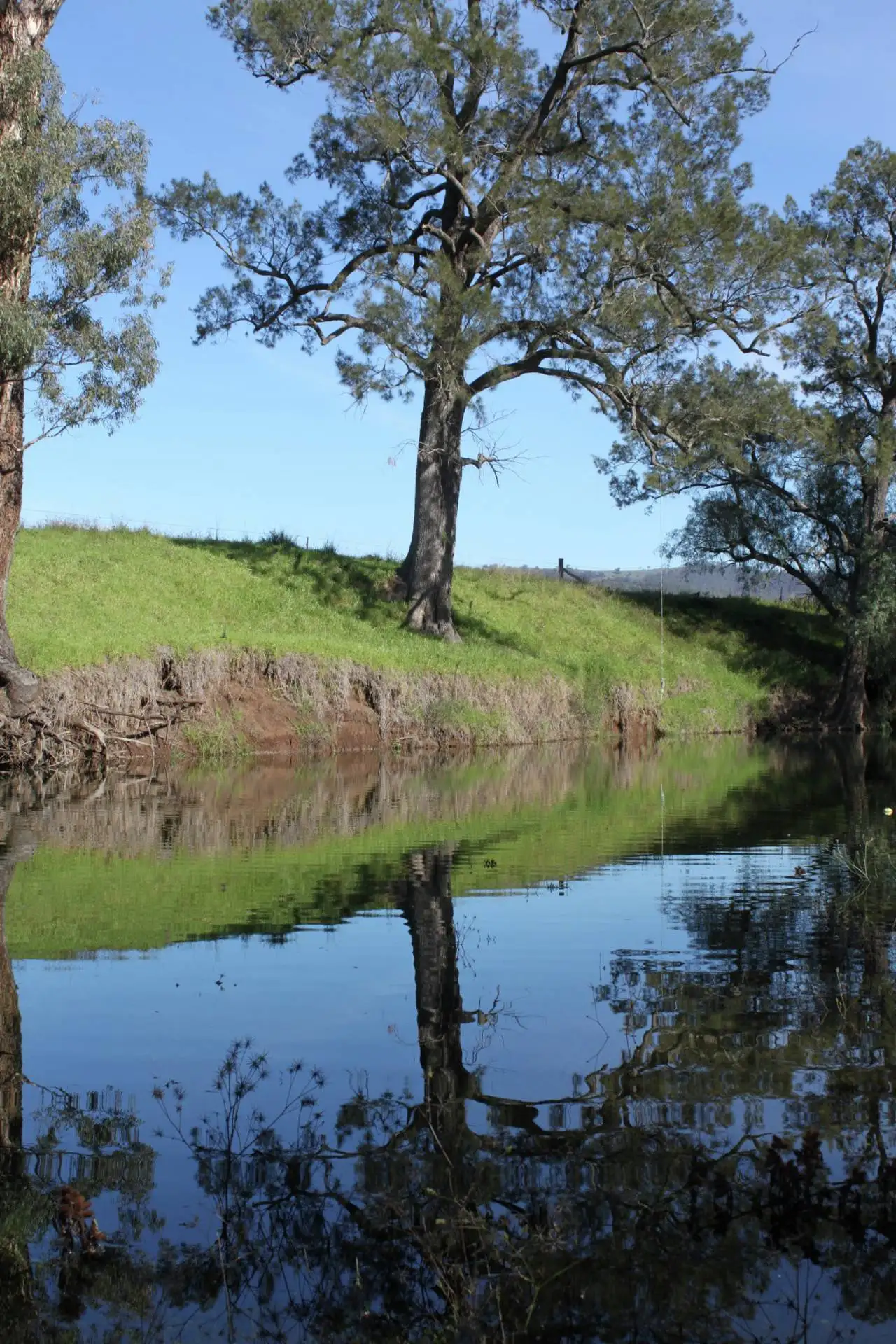 Main view of Homely land listing, 350 Bunnan Road, Scone NSW 2337