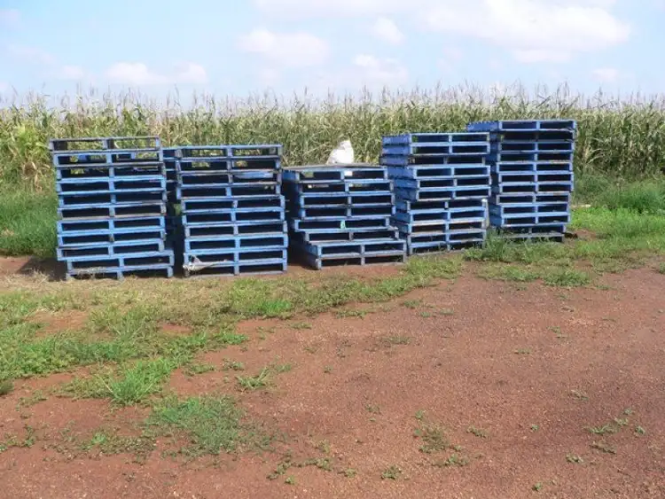 Sixth view of Homely rural property listing, Address available on request