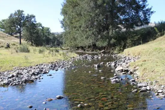 Main view of Homely rural property listing, 1 Kuloo Waverley Road, Scone NSW 2337