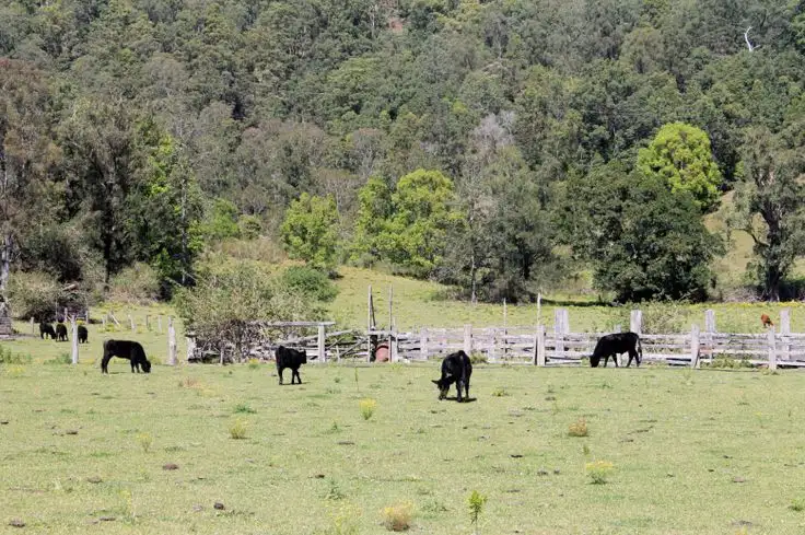 Sixth view of Homely rural property listing, Address available on request