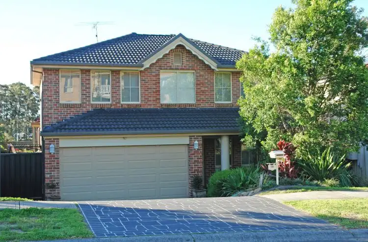 Main view of Homely house listing, 16 Homestead Road, Wadalba NSW 2259