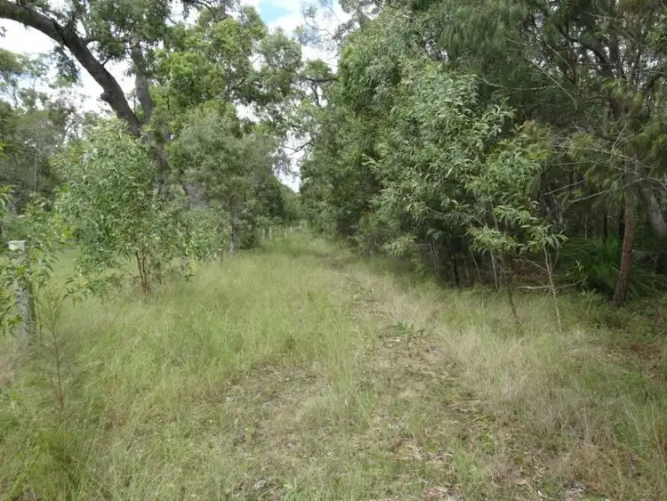 Sixth view of Homely rural property listing, 203 Muller Road, Baffle Creek QLD 4674