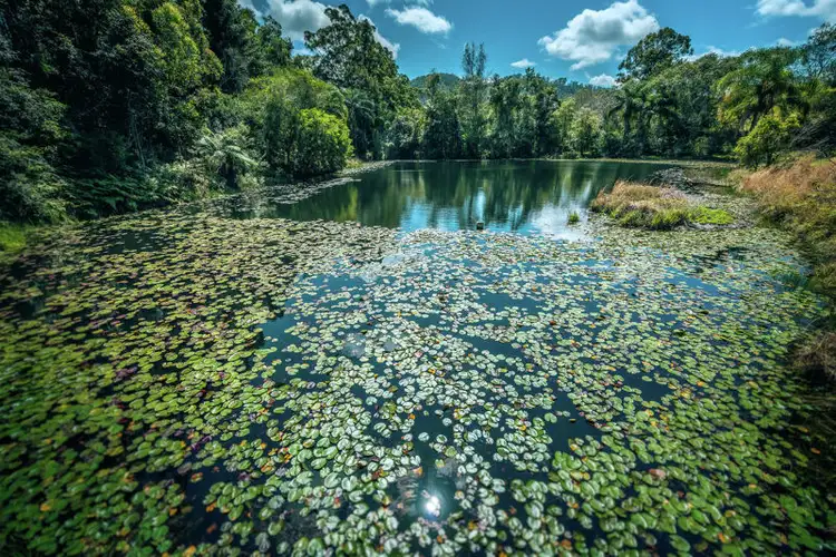 Sixth view of Homely rural property listing, 50 Greenaways Road, Nambucca Heads NSW 2448