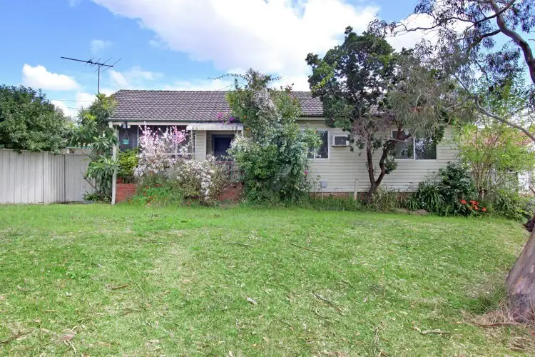 Main view of Homely house listing, 14 Dumble Street, Seven Hills NSW 2147