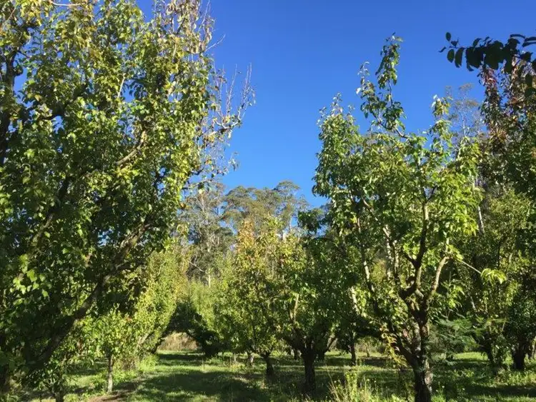 Sixth view of Homely land listing, Lot 2 Nubeena Road, Nubeena TAS 7184