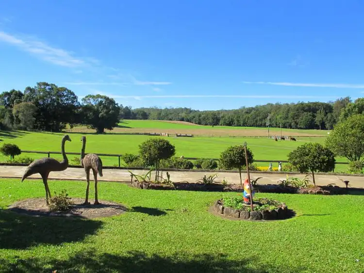 Third view of Homely rural property listing, 51 Promised Land Road, Bellingen NSW 2454