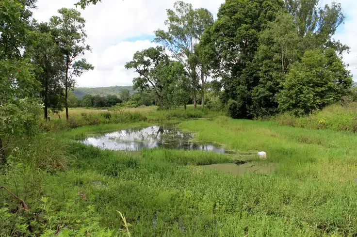 Seventh view of Homely rural property listing, 707 Ghinni Ghi Road, Kyogle NSW 2474