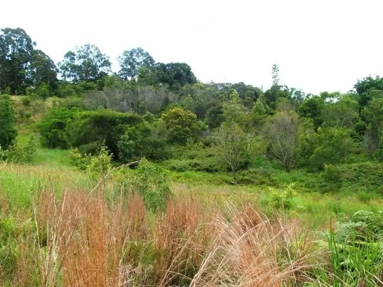 Sixth view of Homely rural property listing, 202 Elliots Road, Tamban NSW 2441