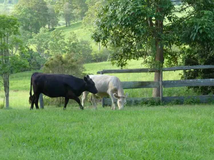 Main view of Homely rural property listing, Eden Ck Via, Kyogle NSW 2474