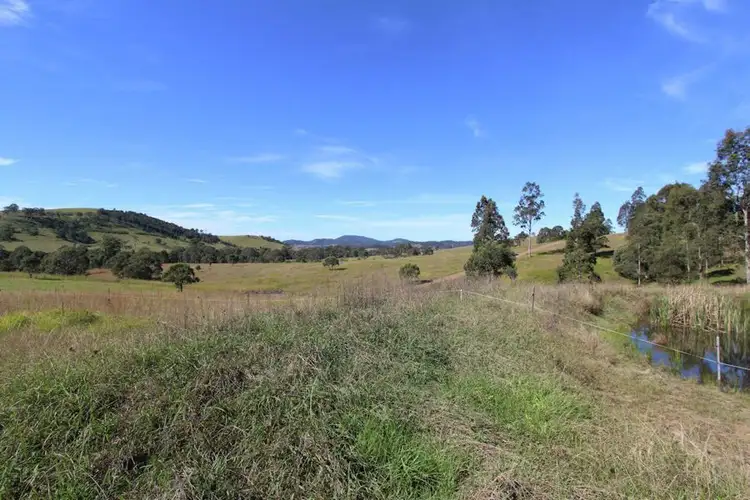 Seventh view of Homely rural property listing, 1454 Willina Rd, Bunyah NSW 2429