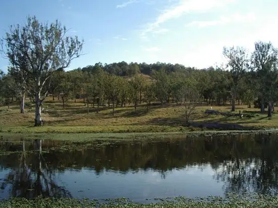 Second view of Homely rural property listing, 1354 Plain Station Rd, Tabulam NSW 2469