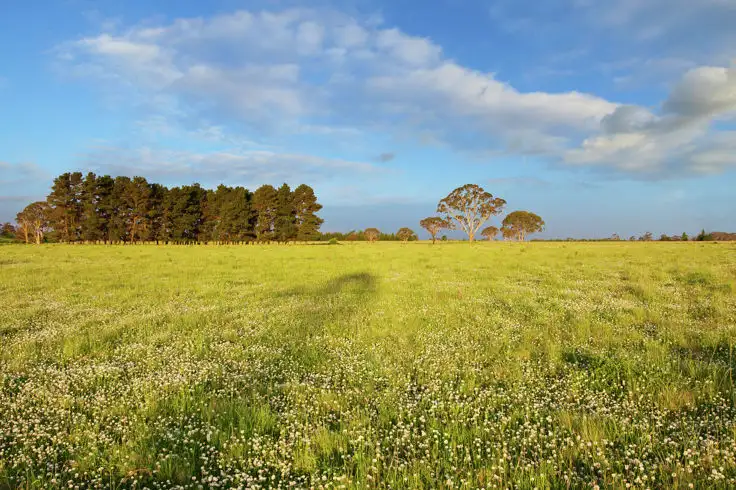 Fifth view of Homely land listing, Lot 308 Old Gostwyck Park Estate, Armidale NSW 2350
