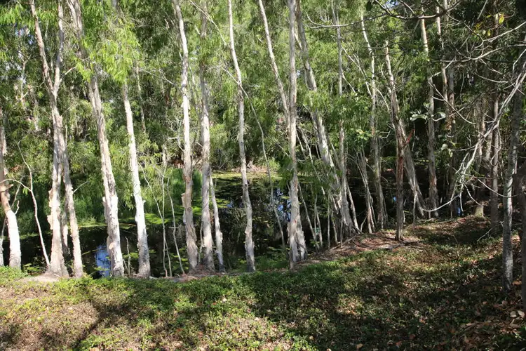 Main view of Homely land listing, 5 Augusta Drive, Balgal Beach QLD 4816