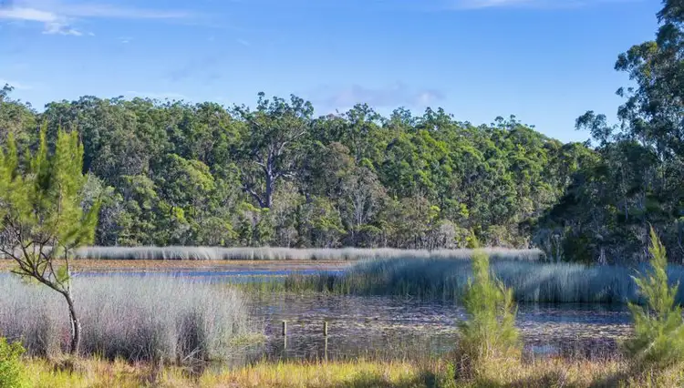 Second view of Homely rural property listing, 568 Parker Rd, Lanitza NSW 2460