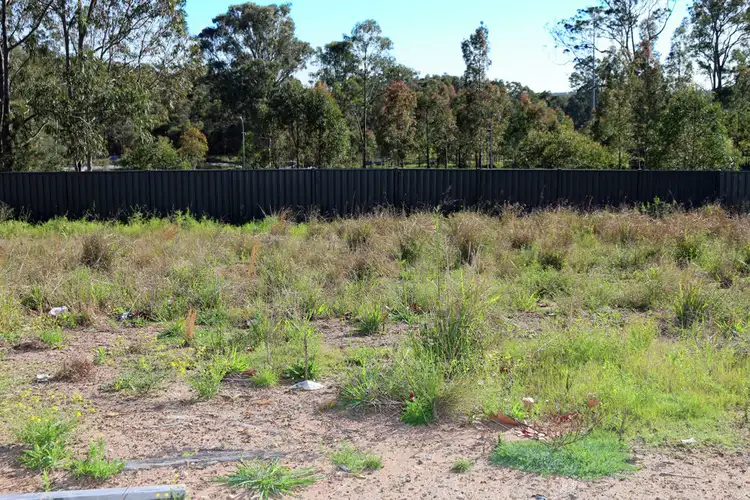Main view of Homely land listing, 50 Raintree Terrace, Wadalba NSW 2259