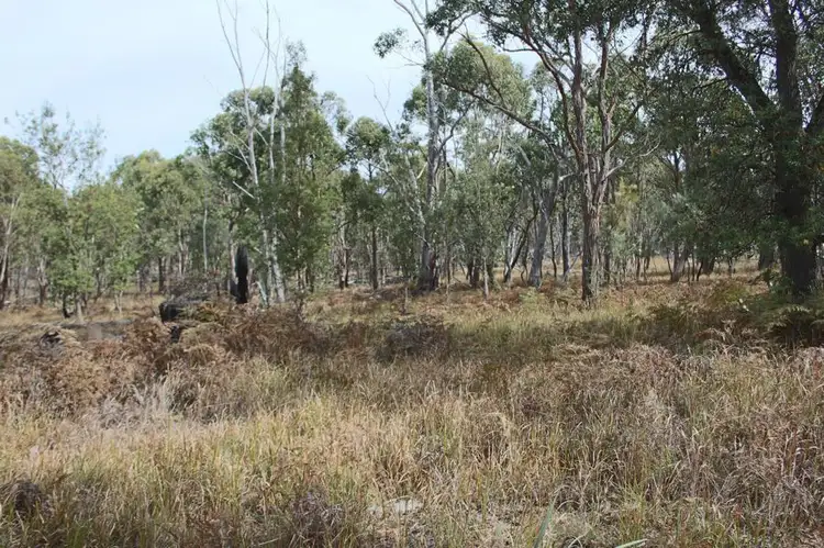 Third view of Homely rural property listing, 287b Mount Spirabo Road, Tenterfield NSW 2372