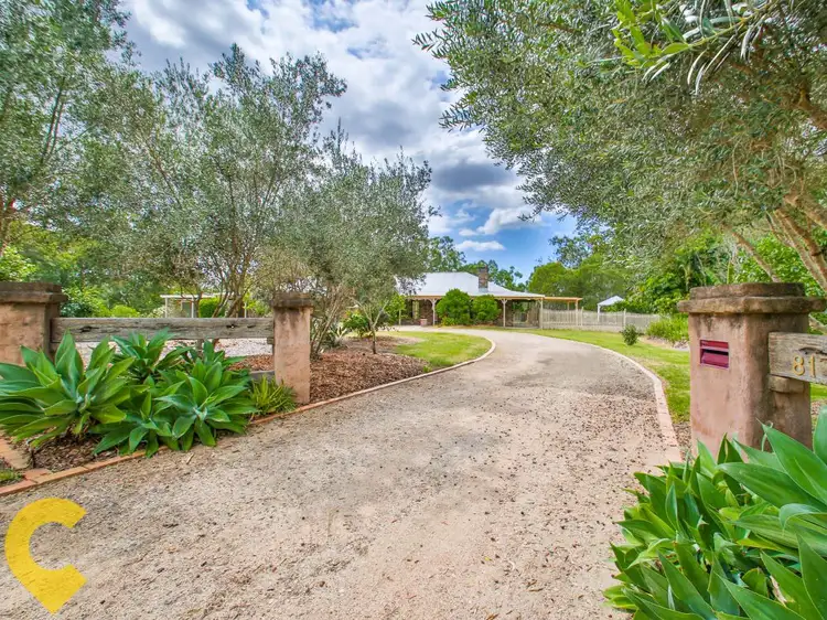 Main view of Homely house listing, 81 Thompson Road, Bellmere QLD 4510