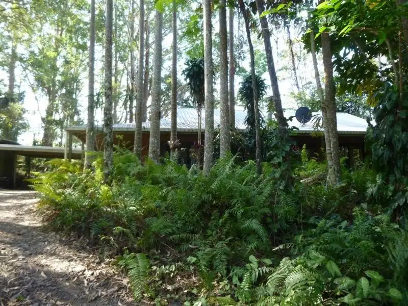 Main view of Homely house listing, 53 Obi Obi Road, Mapleton QLD 4560