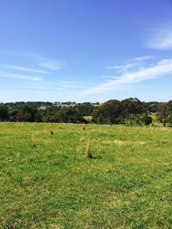Seventh view of Homely house listing, 36 Murrays Road, Tennyson NSW 2754