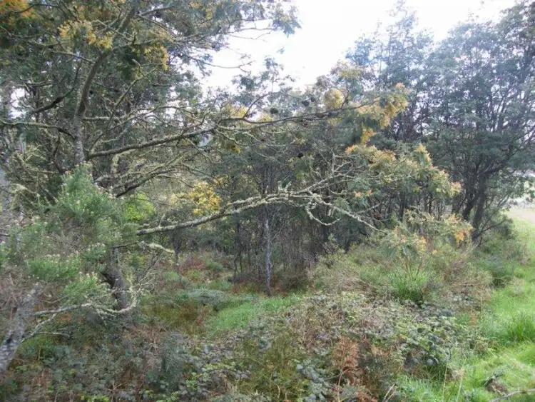 Fourth view of Homely land listing, Lot 1 Woolridge Road, Rhyndaston TAS 7120