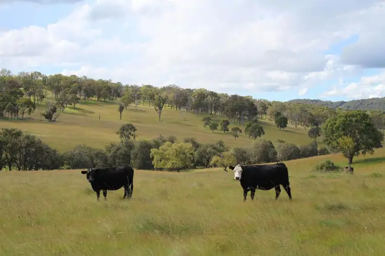 Third view of Homely rural property listing, 214 Quarry Road, Tenterfield NSW 2372