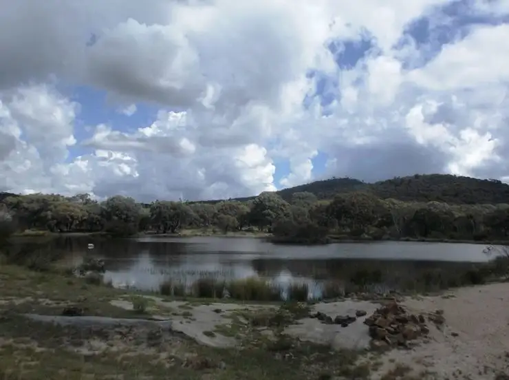 Second view of Homely rural property listing, 505 Goldfields Road, Stanthorpe QLD 4380