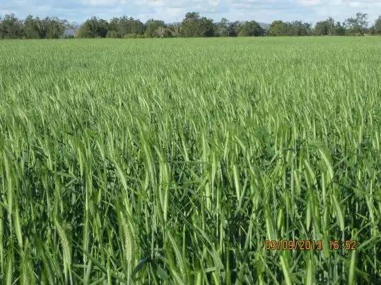 Sixth view of Homely rural property listing, Address available on request