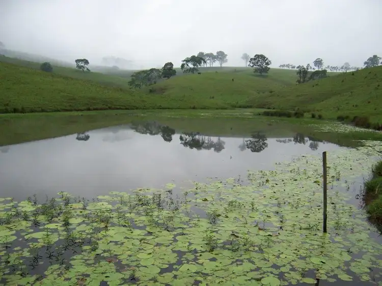 Second view of Homely rural property listing, 95 Murrays Road, Bucca Wauka NSW 2429