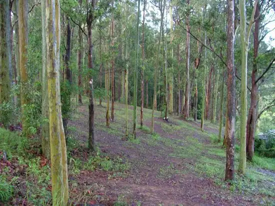 Fourth view of Homely rural property listing, 114 Coldwater Creek Rd, Nana Glen NSW 2450